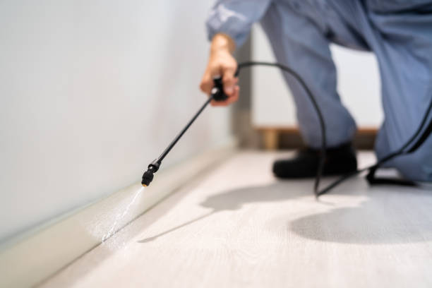 Bed Bug Pre-Treatment Preparation Assessment in Marysville